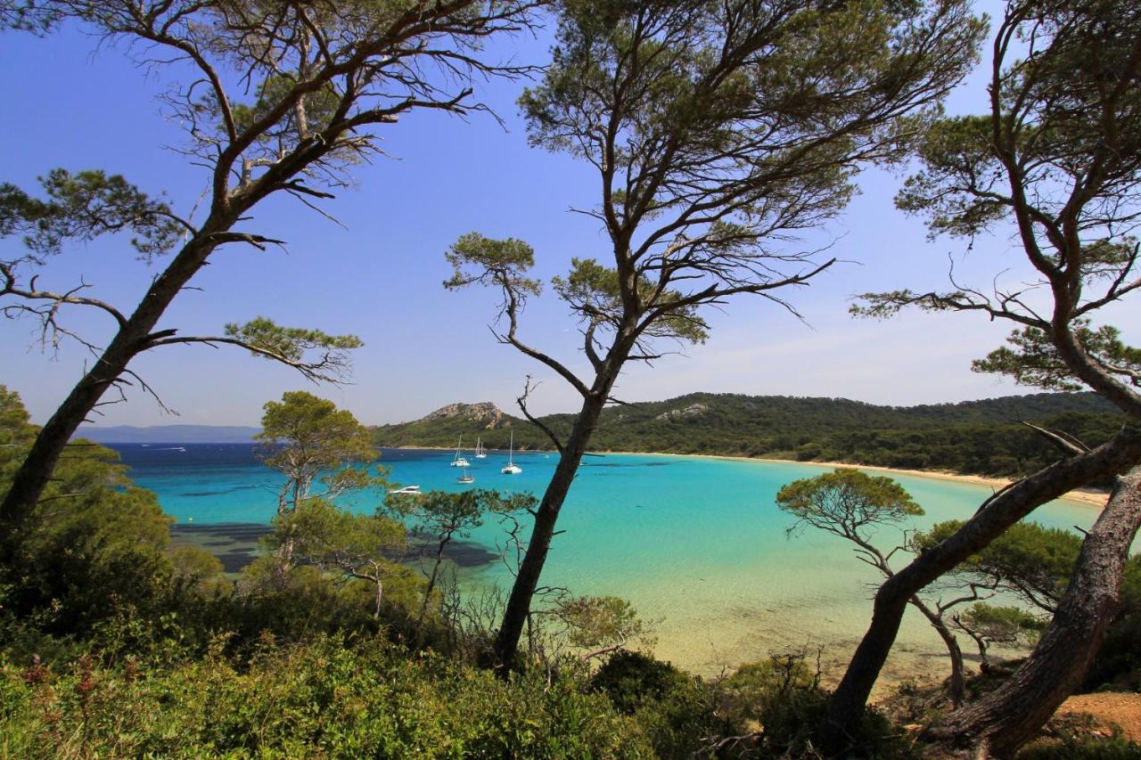 Le Mediterranee Hotel Hyères